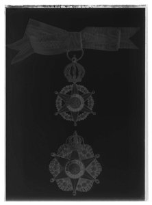 Brasilianska Rosenorden - Livrustkammaren - 53008-negative