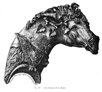 BraSle 36460