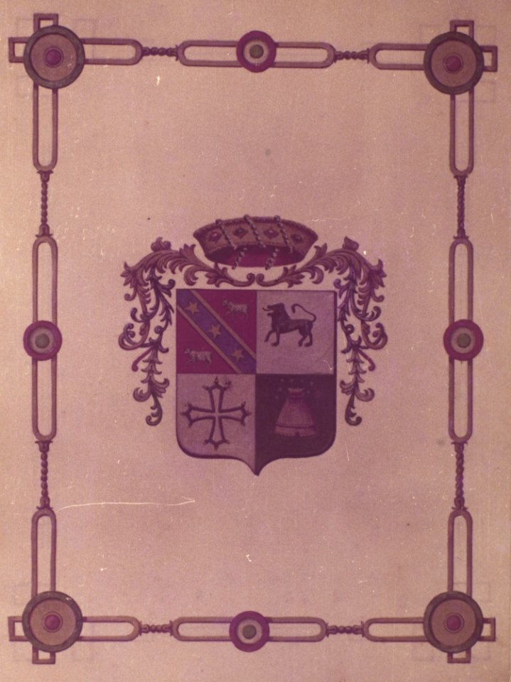 Brasão de João Simão Lopes 01