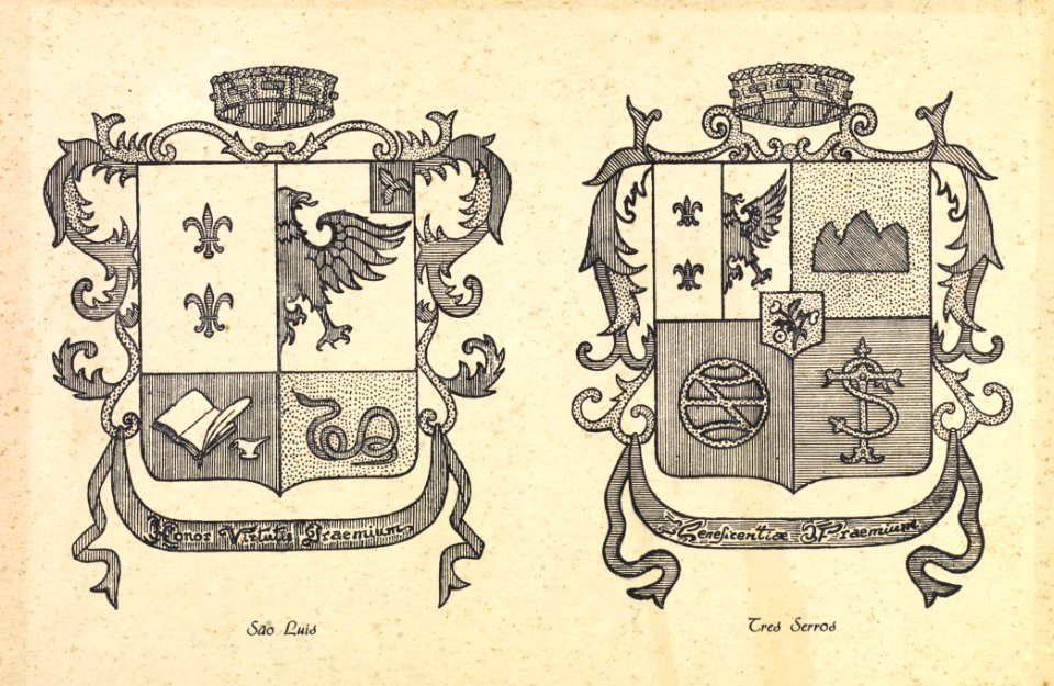 Brasão do Barão de São Luis e Brasão do Barão de Tres Serros 01