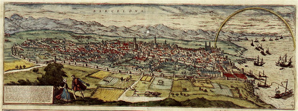 Braun Barcelona HAAB