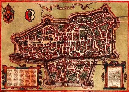 Braun Augsburg HAAB