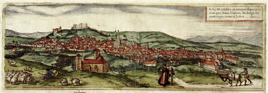 Braun Burgos HAAB