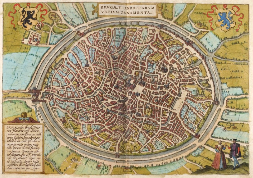 Braun Brugge UBHD