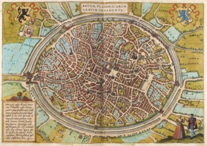 Braun Brugge UBHD