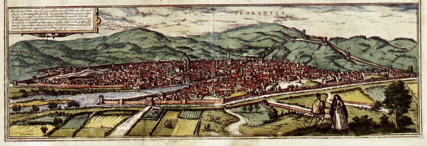 Braun Firenze HAAB