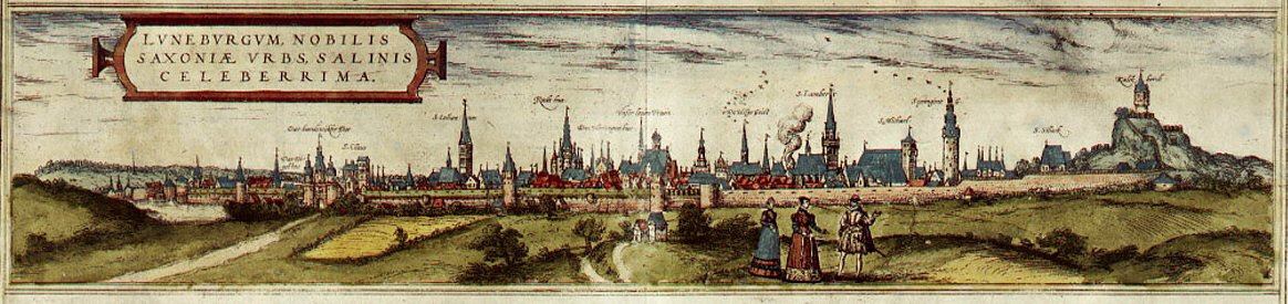 Braun Lüneburg HAAB