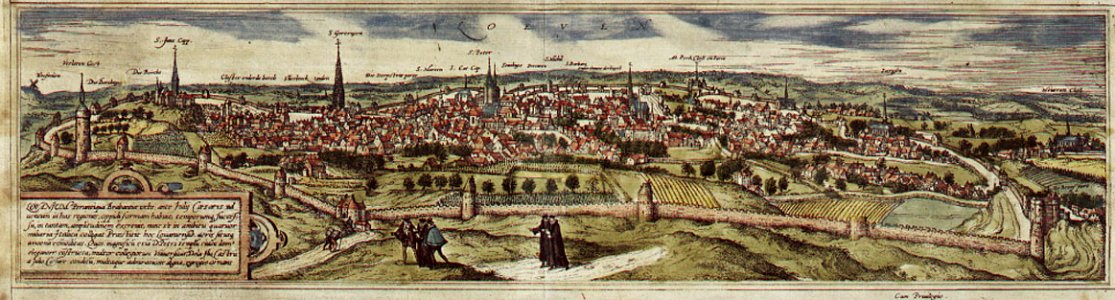 Braun Leuven HAAB