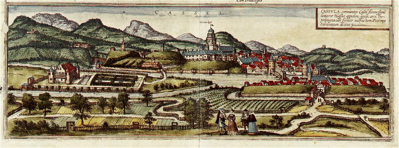 Braun Kassel HAAB