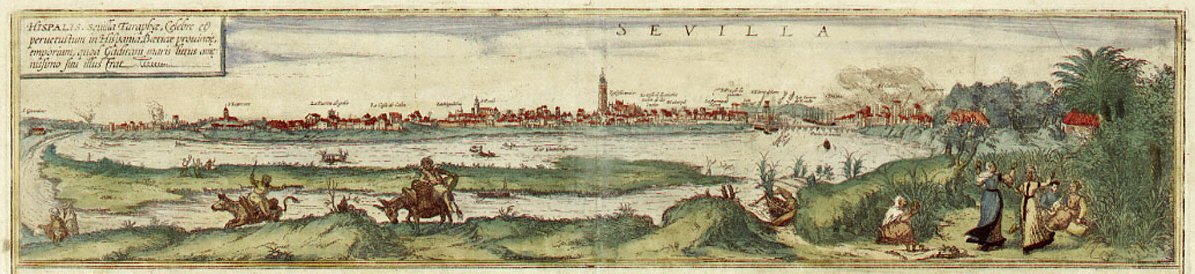 Braun Sevilla HAAB