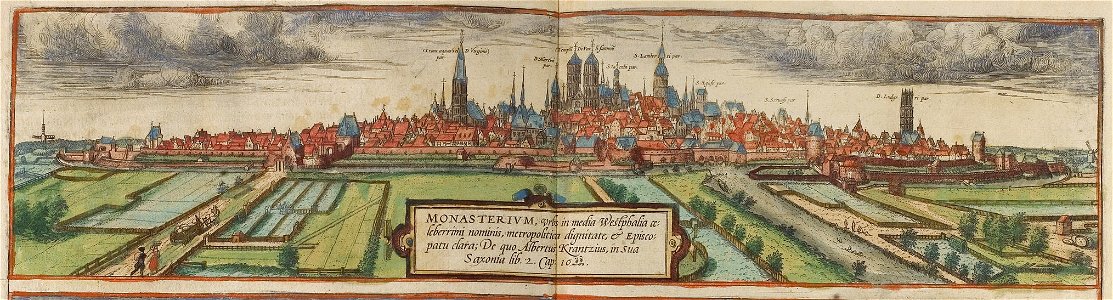 Braun Münster UBHD