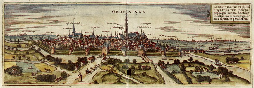 Braun Groningen HAAB
