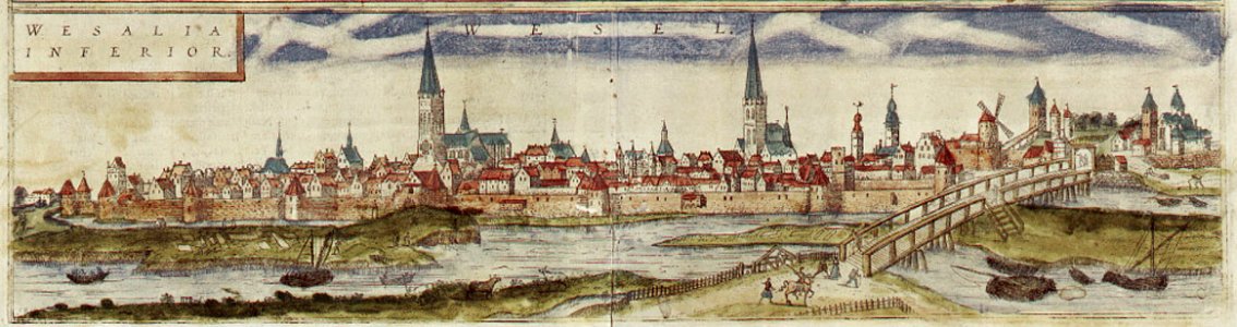 Braun Wesel HAAB