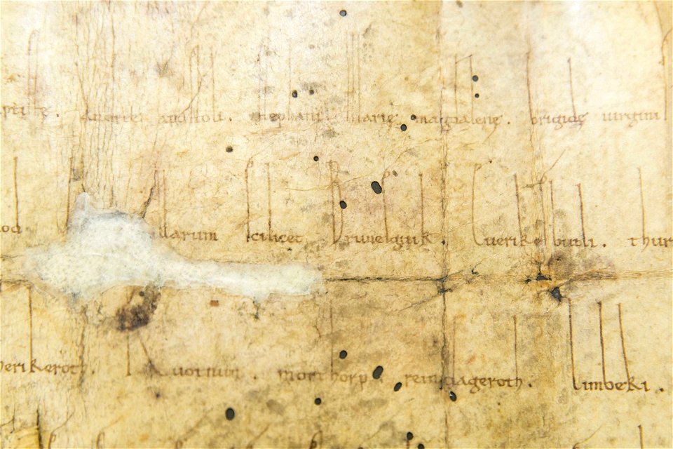Braunschweig Brunesguik Ausschnitt Weiheurkunde der Magnikirche von 1031 A III 7 1 (Stadtarchiv Braunschweig)