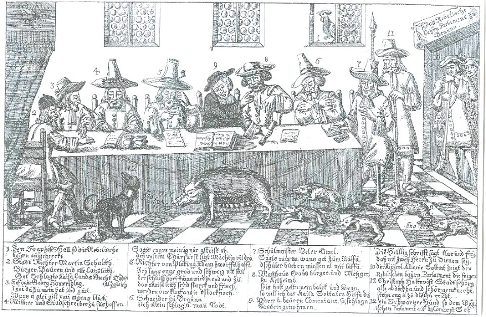 Braunauer Parlament Spottbild
