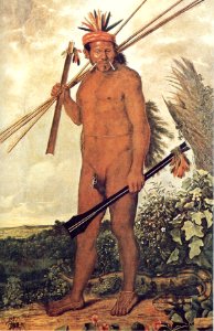 Brazilian Tapuia