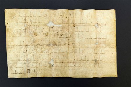 Braunschweig Weiheurkunde der Magnikirche von 1031 A III 7 1 (Stadtarchiv Braunschweig)