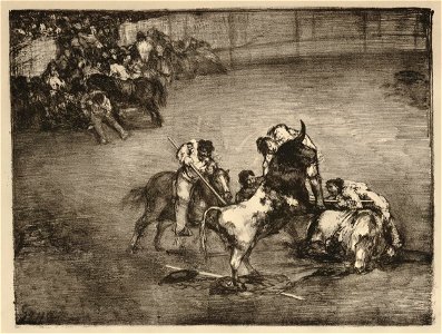 Bravo toro (BM 1876,0510.358)