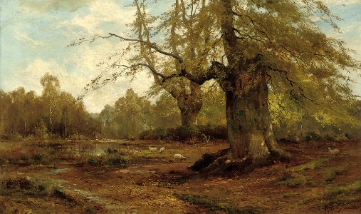 Alfred de Bréanski Snr. - Burnham Beeches, Autumn. Free illustration for personal and commercial use.