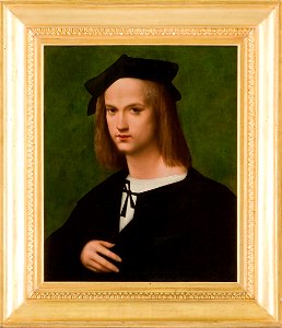 Brescianino - Portrait de jeune homme, Vers 1515, 825.1.184