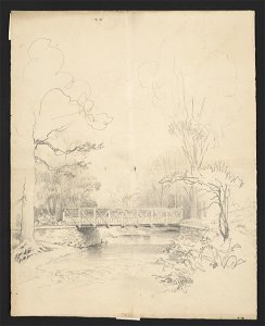 Bridge spanning a stream in the woods LCCN2016648683