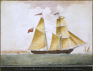 Brig schooner Cosmopolitan of Ipswich. David Bretton Master, going out of Malta 1842 PAH8372