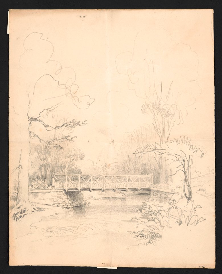 Bridge spanning a stream in the woods LCCN2016648683