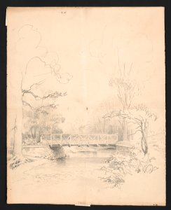 Bridge spanning a stream in the woods LCCN2016648683