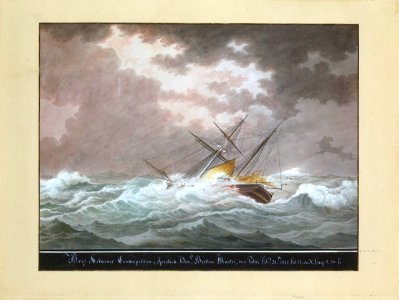 Brig schooner Cosmopolitan of Ipswich. David Bretton Master, in a Palae Feby 25th 1842. Lat. 38.00N. Long 9.30E PAH8371