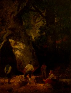 Brion Gustave-Le vieux chêne