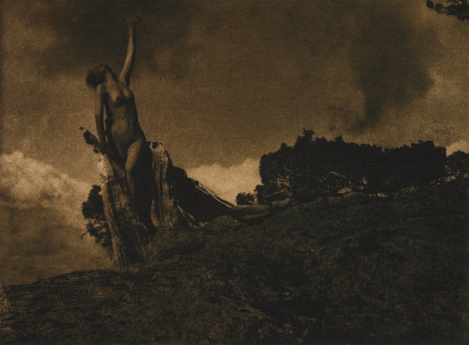 Brigman SoulOfTheBlastedPine MIA 6434261
