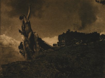 Brigman SoulOfTheBlastedPine MIA 6434261