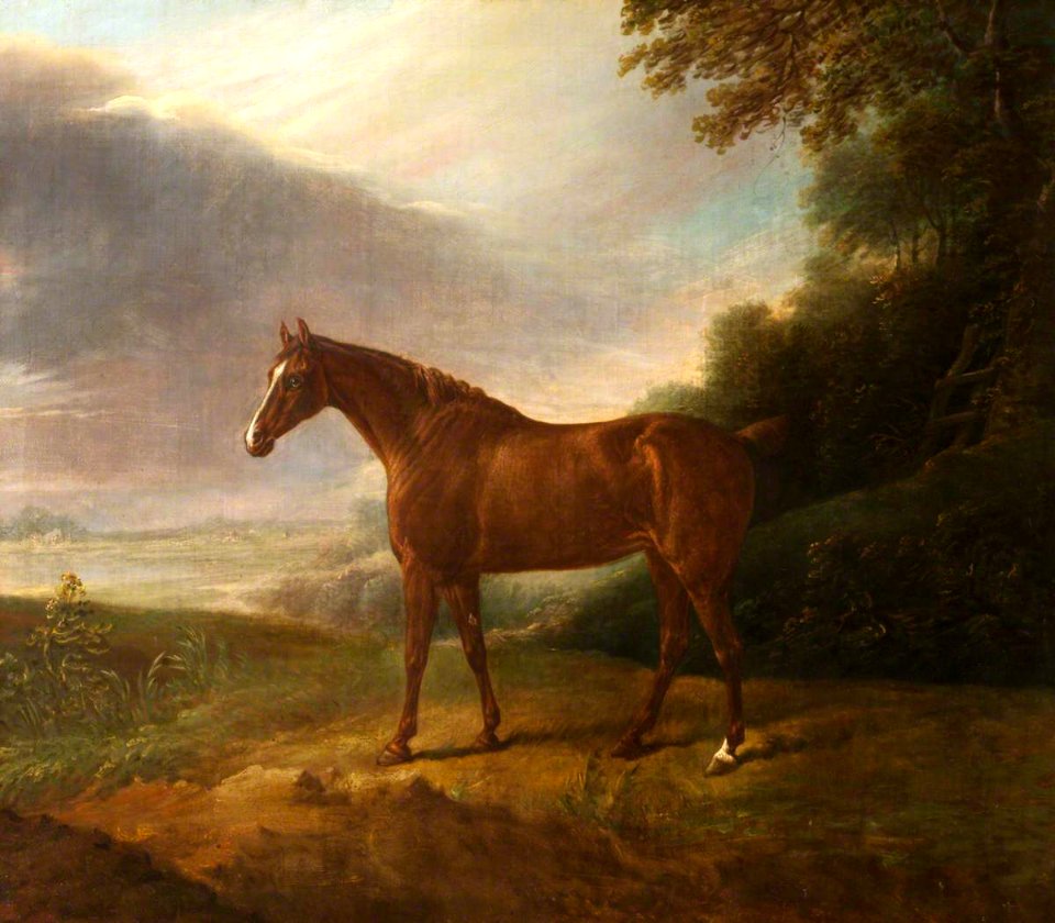 British (English) School - A Horse Called 'White Sorrel', in a Landscape - 584497 - National Trust