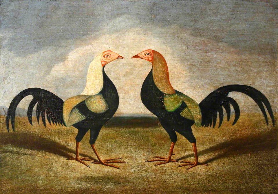 British (English) School - A Pair of Fighting Cocks - 1548167 - National Trust