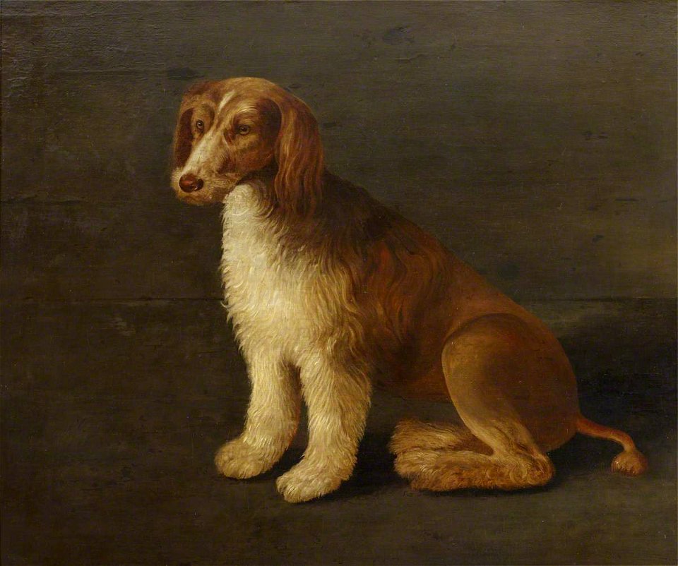 British (English) School - Called 'Bungay', the Favourite Dog of Sir John Harington (1561–1612) - 515442 - National Trust