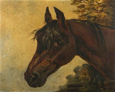 British (English) School - A Soulful Bay Horse's Head - 216422 - National Trust
