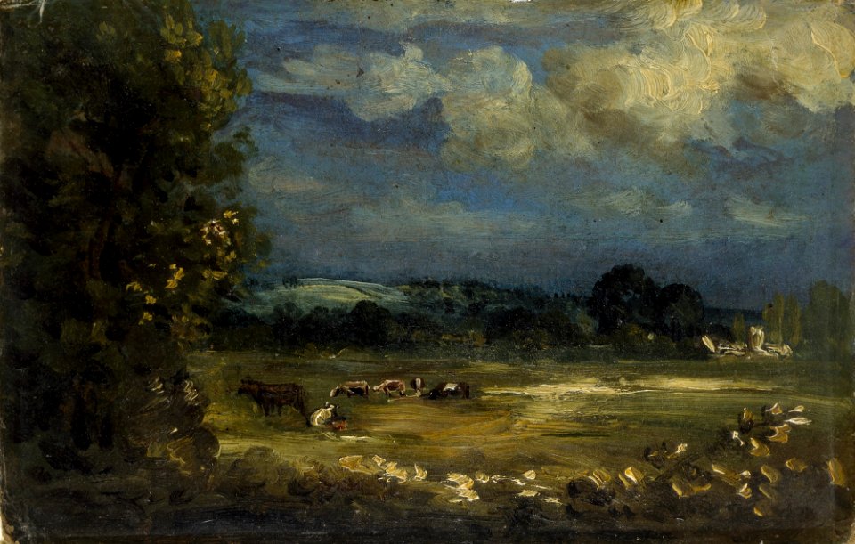 Britford Vale Water Meadows Read