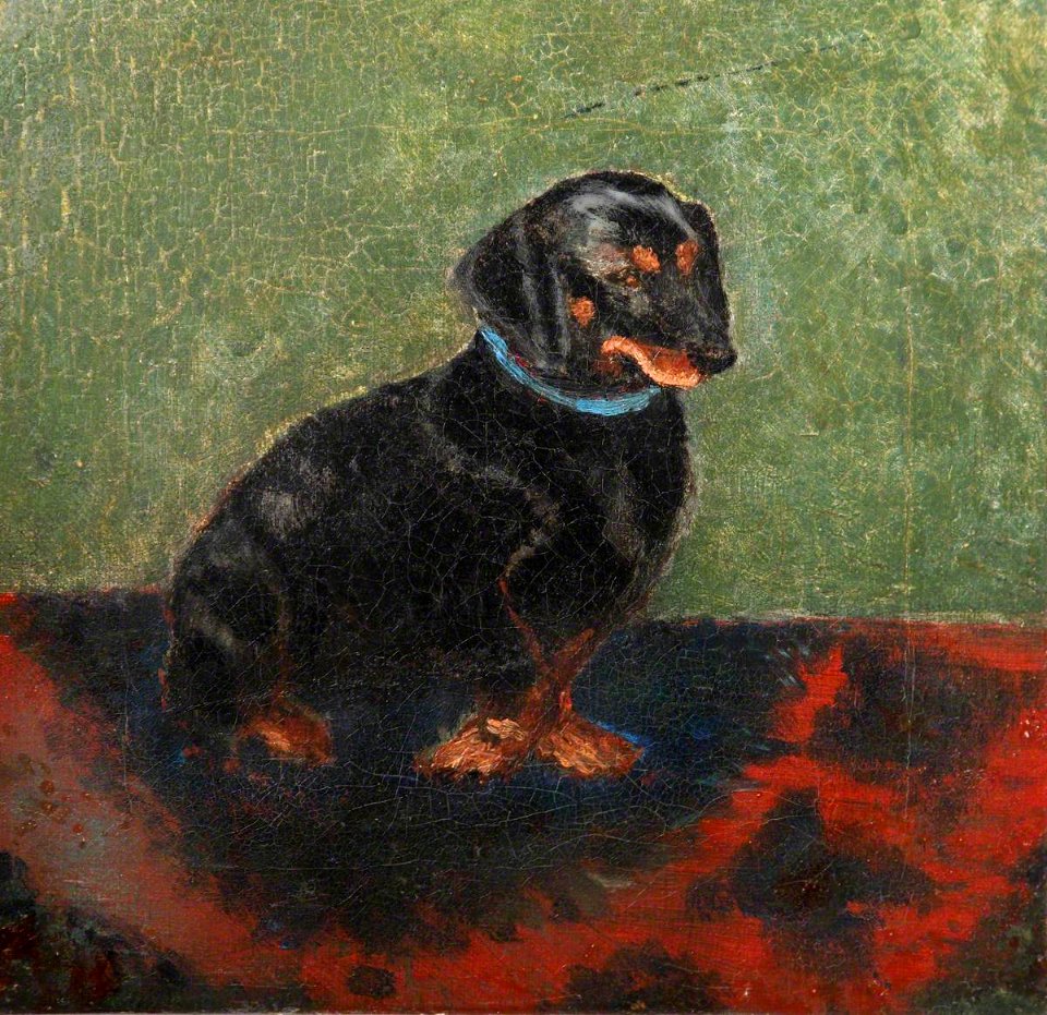British (English) School - A Dachshund Called 'Waldmann' - 1441546 - National Trust