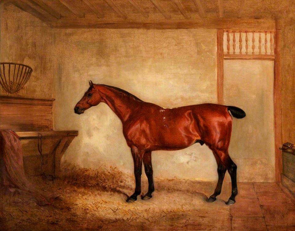 British (English) School - A Chestnut Horse in a Stable - 445333 - National Trust