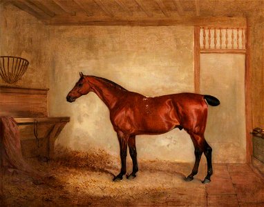 bay horse in stable clipart