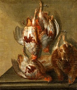 British (English) School - Five Dead Partridges Hanging - 1151448 - National Trust