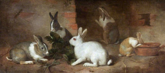 British (English) School - Rabbits Feeding - 436205 - National Trust