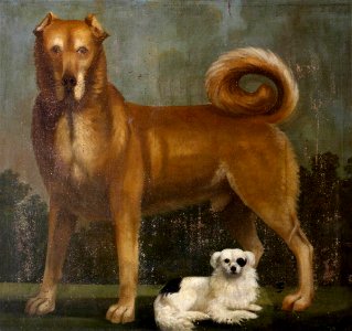 British (English) School - Two Dogs, a Lyme Mastiff and a Papillon - 1313485 - National Trust