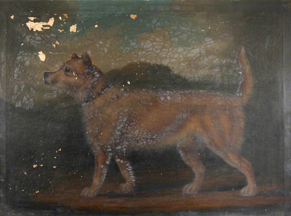 British School - A Dog - 1151441 - National Trust
