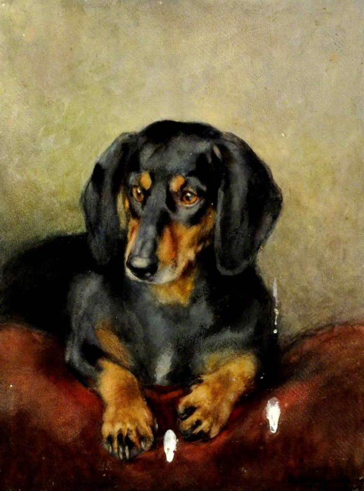 British School - A Black and Tan Dachshund - 290304 - National Trust