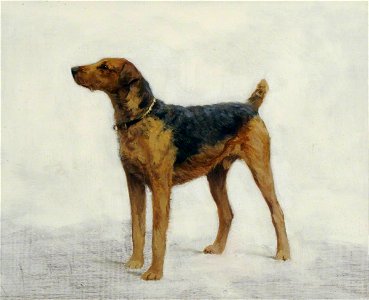 British School - An Irish Terrier - 290299 - National Trust