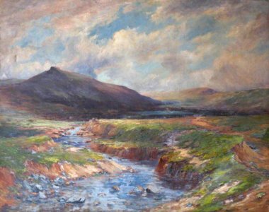 British School - Dartmoor, Devon - 809841 - National Trust
