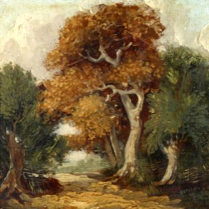 British School - Path through a Wood - 515519.2 - National Trust