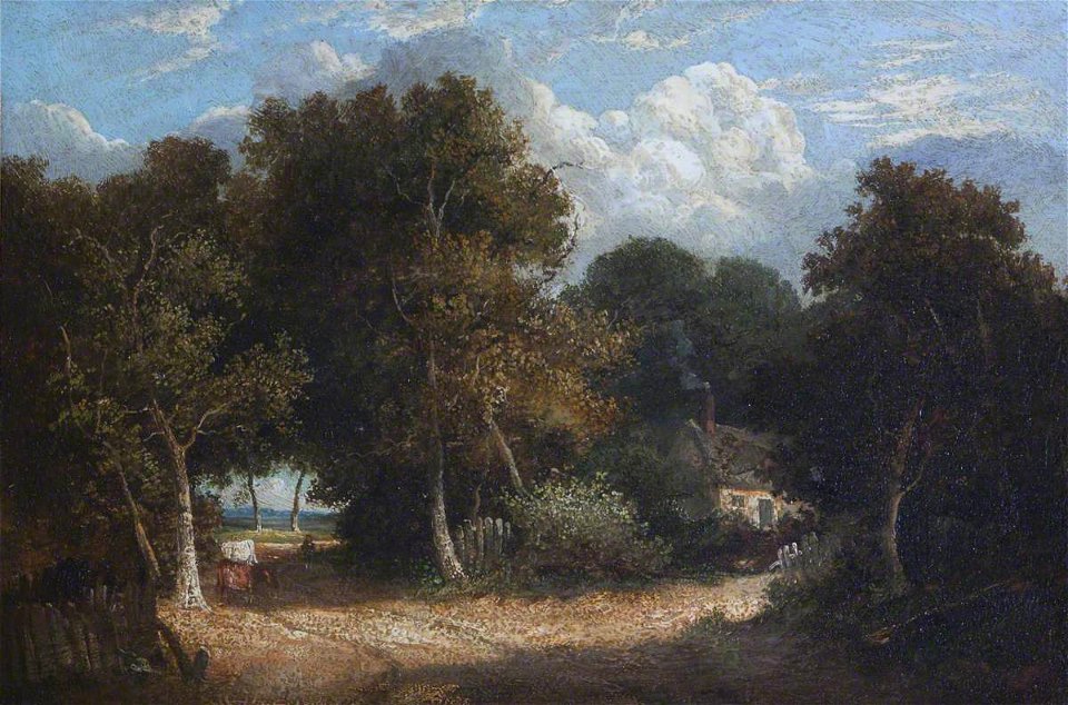 British School - Woodland Scene - 1403173 - National Trust