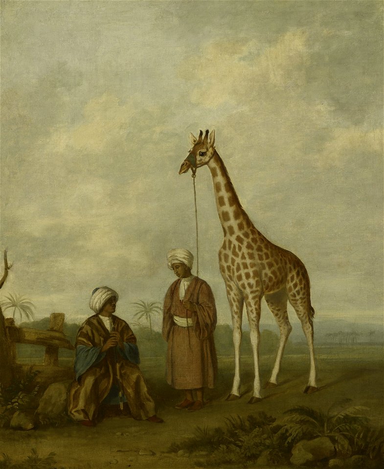 British School, early 19th century - The Nubian Giraffe - RCIN 407519 - Royal Collection